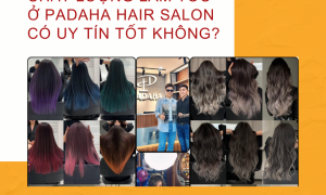 Đánh Giá Chất Lượng Làm Tóc Ở Padaha Hair Salon 25