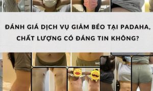 Đánh giá chất lượng dịch vụ giảm béo tại Padaha có thật sự tốt 29