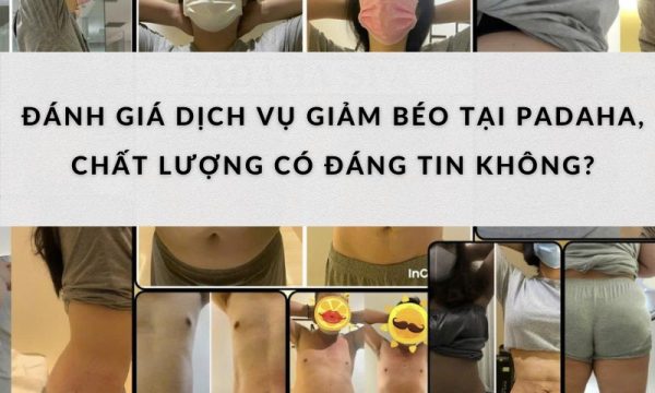 Đánh giá chất lượng dịch vụ giảm béo tại Padaha có thật sự tốt 5