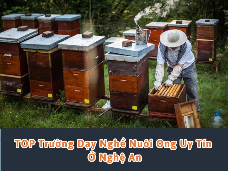 dạy nghề nuôi ong ở nghệ an
