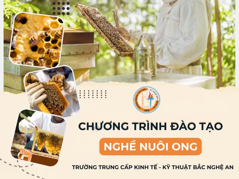 Trường Nào Dạy Nghề Nuôi Ong Tại Nghệ An Tốt Nhất? 1