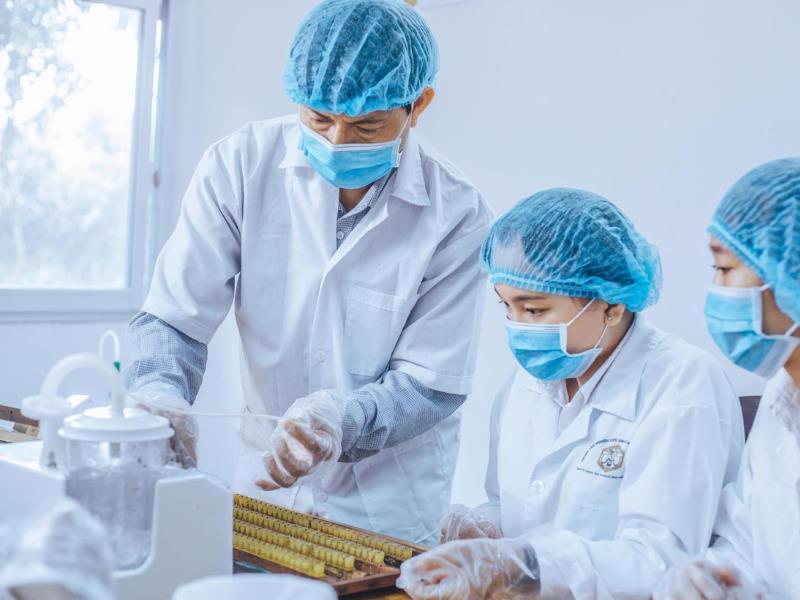 Trường Nào Dạy Nghề Nuôi Ong Tại Nghệ An Tốt Nhất? 4